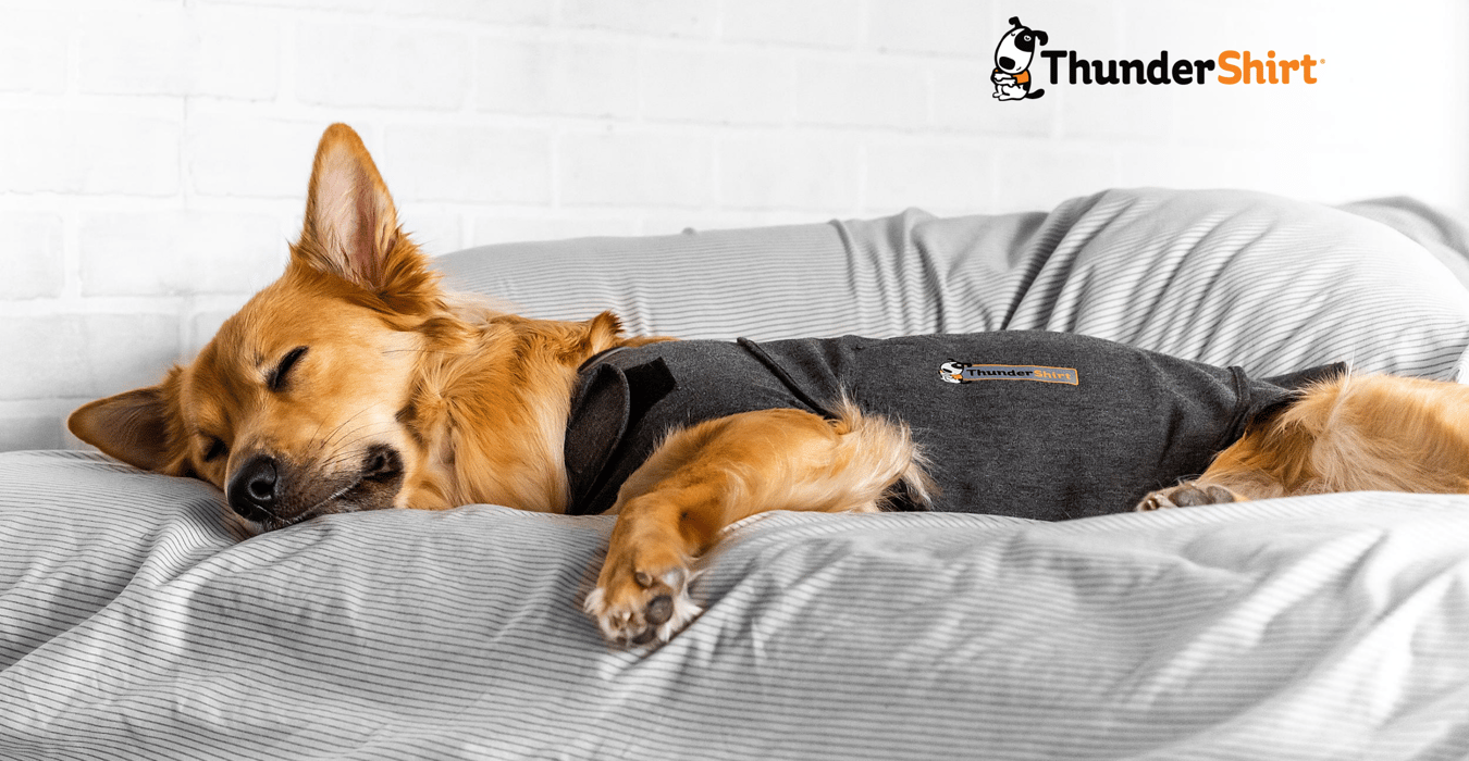 What Is Thundershirt?